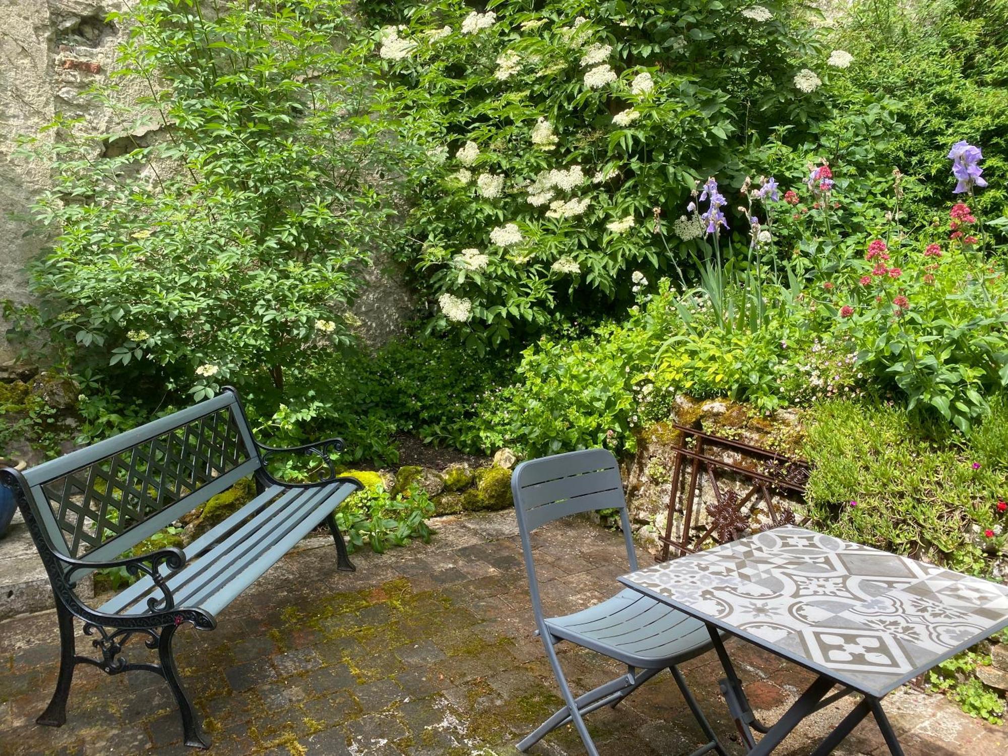 Chatel Rose - Historical Centre With Garden Blois Exterior foto