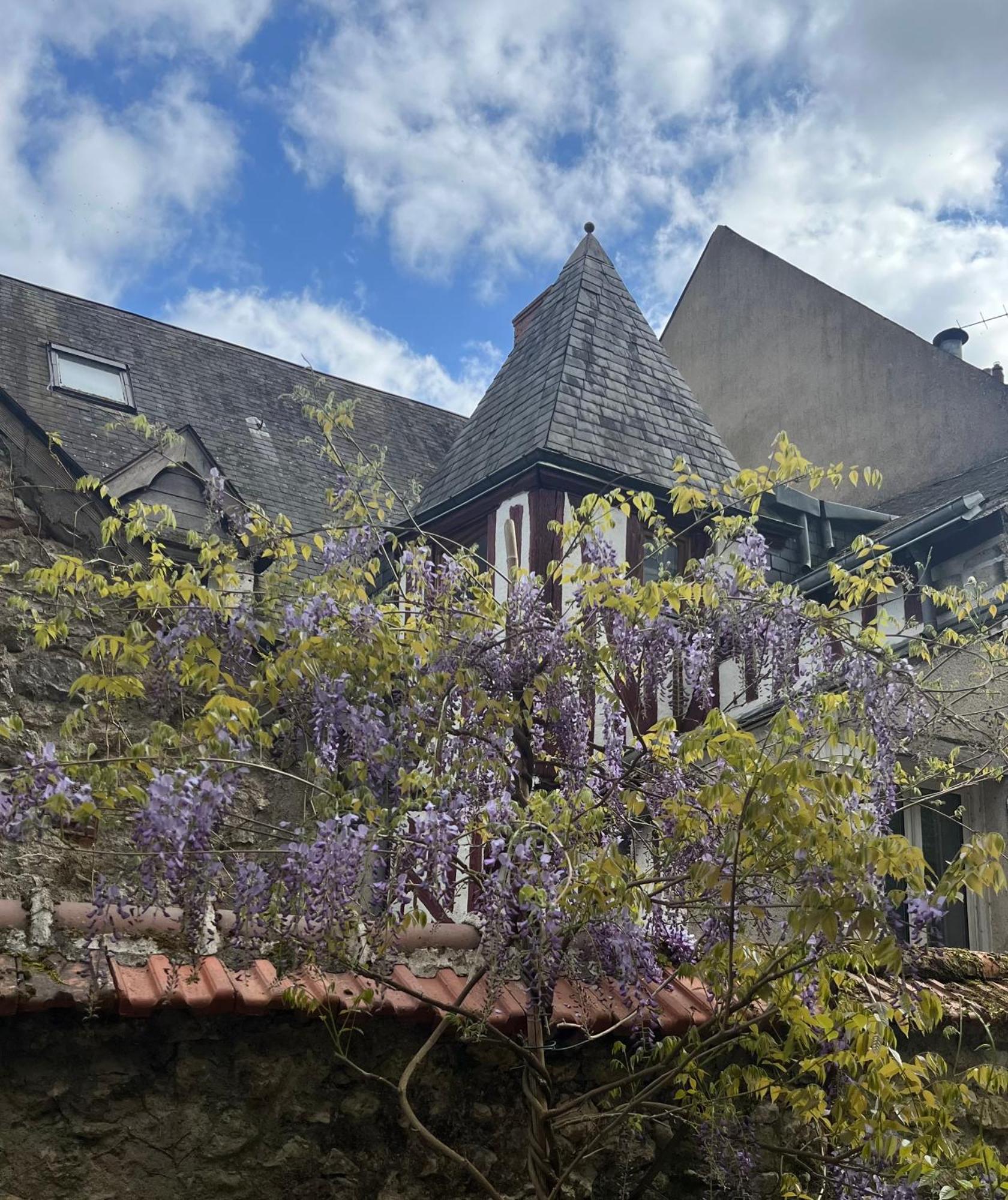 Chatel Rose - Historical Centre With Garden Blois Exterior foto